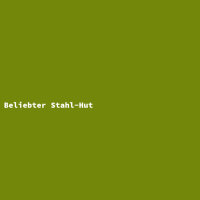 Beliebter Stahl-Hut