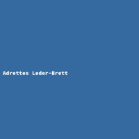 Adrettes Leder-Brett
